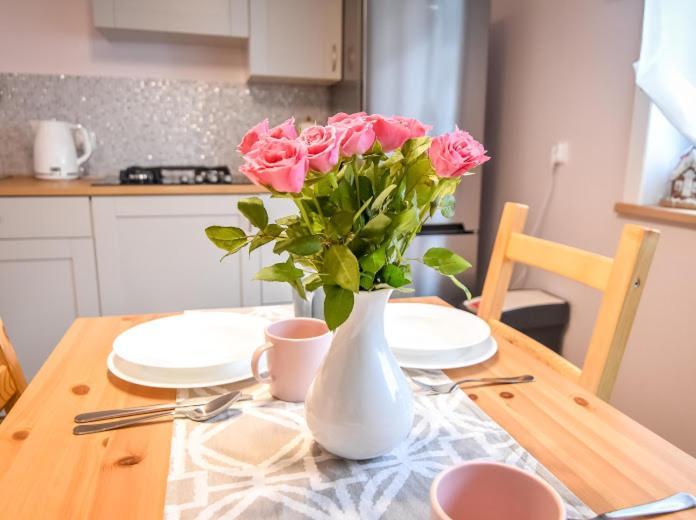 Apartament Stachonie